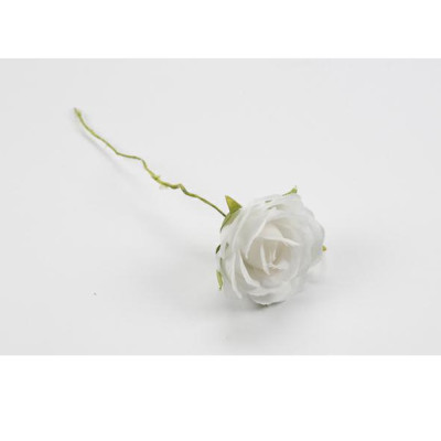 Bocciolo di rosa 2