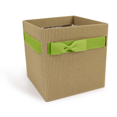 Box in cartoncino con nastro verde