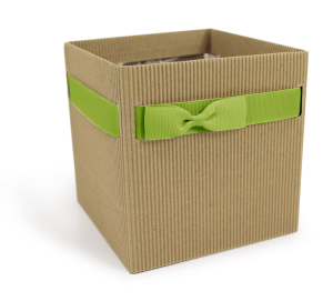 Box in cartoncino con nastro verde
