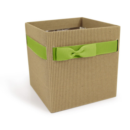 Box in cartoncino con nastro verde Box in cartoncino con nastro verde