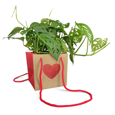 Sacchetto Idrorepellente Avana con Cuore per Piante