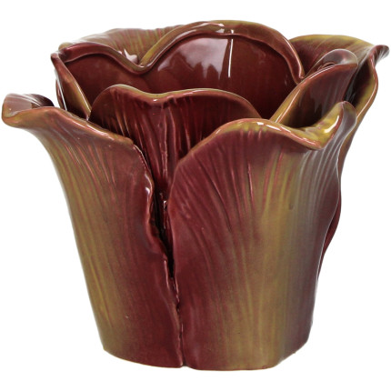 Vasetto cavolo viola Vasetto cavolo viola