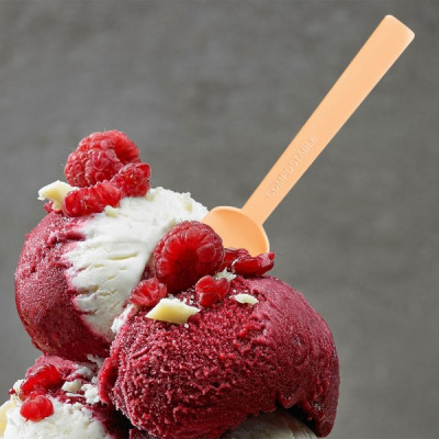 Cucchiaini da gelato Hawaii compostabili (550 pezzi) 2