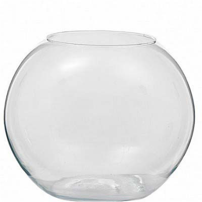 Vaso bowl in vetro trasparente 2