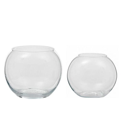 Vaso bowl in vetro trasparente