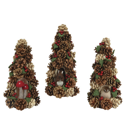 Alberello con pigne Alberello con pigne