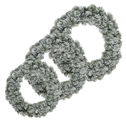 Corona imperial innevata