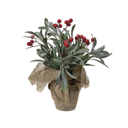 Vasetto vischio con fiori rossi