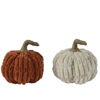 Zucca in ciniglia