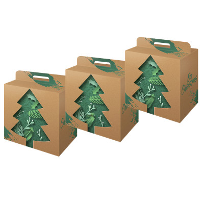 Scatola portapanettone e bottiglia Ecp Xmas