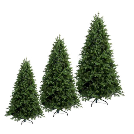 Albero di Natale Fraser