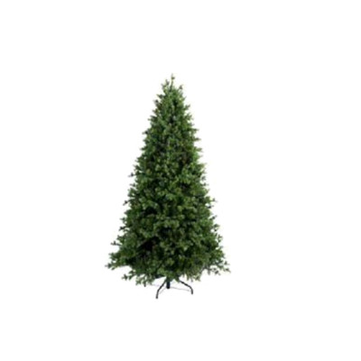 Albero di Natale Fraser 2