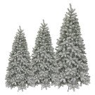 Albero di Natale Iowa slim