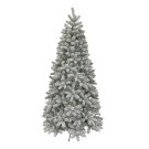 Albero di Natale Iowa slim