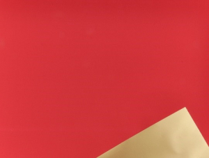 Carta polipropilene bicolor (25 fogli) BORDEAUX Carta polipropilene bicolor (25 fogli) BORDEAUX