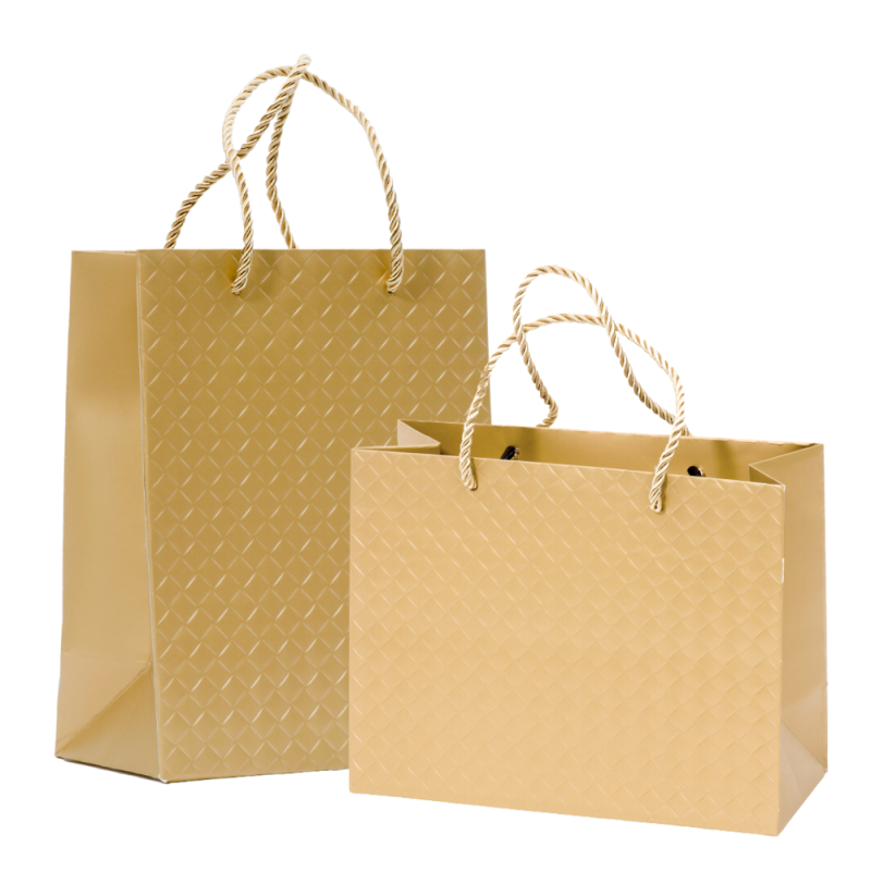 Shopper brigitte con cordini