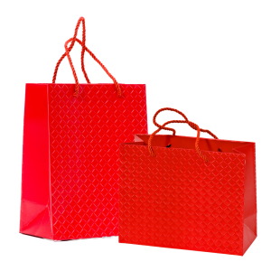 Shopper brigitte con cordini