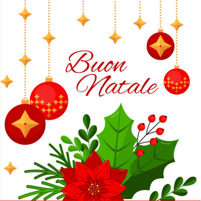 Chiudipacco natale assortiti (4 pezzi) 2