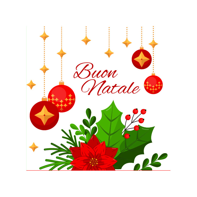 Chiudipacco Natale assortiti