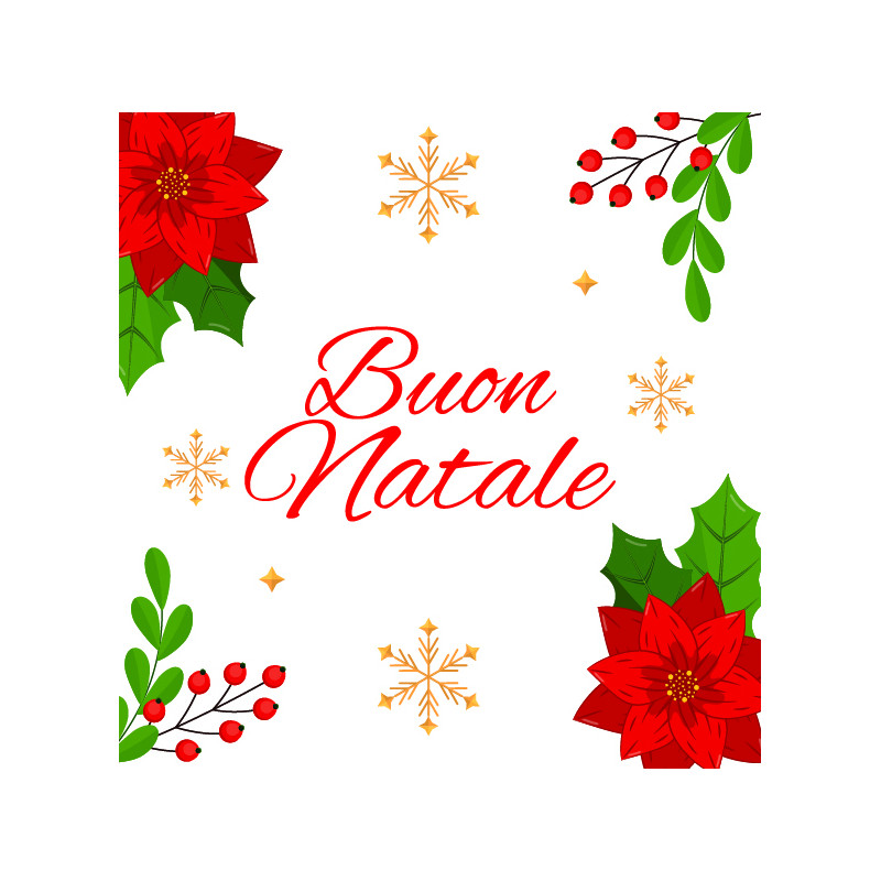 Chiudipacco Natale assortiti