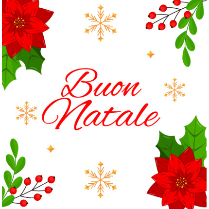 Chiudipacco Natale assortiti