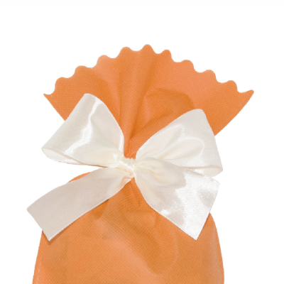 Sacchetti TNT Arancio