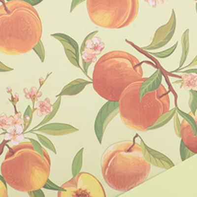 Bobina carta polipropilene Peachy verde