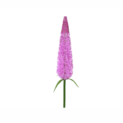 Bush flower rosa con stelo