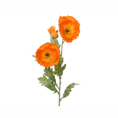 Papaveri Grandi Arancio con Stelo
