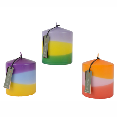 Candela multicolor