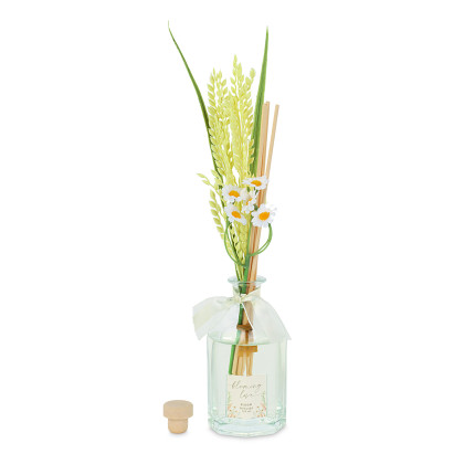 Diffusore camomilla con scatola Diffusore camomilla con scatola