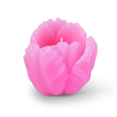 Candela tulipano rosa