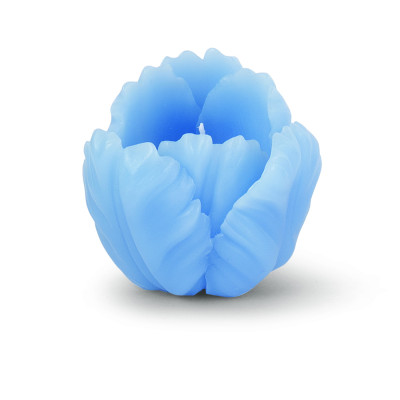 Candela tulipano azzurra