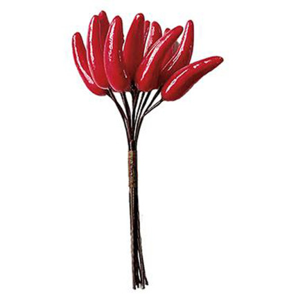 Pick 12 peperoncini rossi