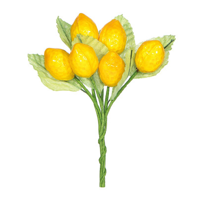 Pick limoni con foglie
