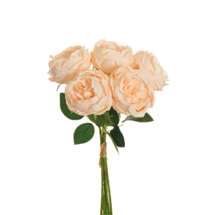 Pick di cavolo rosa color salmone Pick di cavolo rosa color salmone