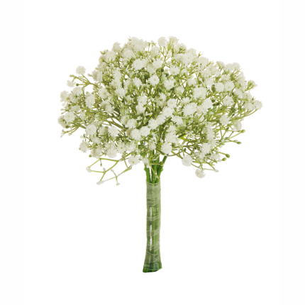 Fascio di gypsophila bianco
