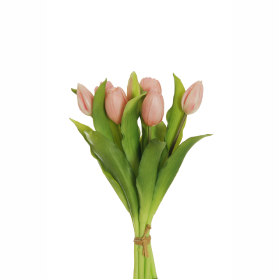 Mazzo di 7 tulipani rosa