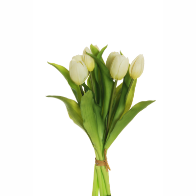 Mazzo di 7 tulipani crema