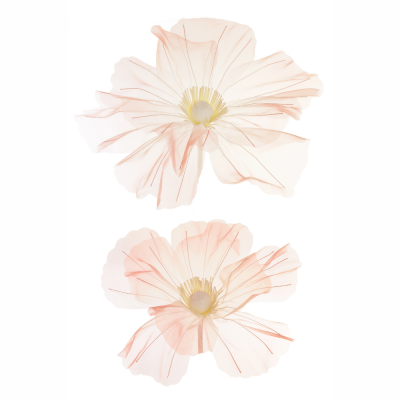 2 papaveri giganti in organza rosa