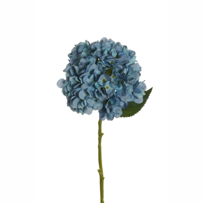 Ortensia Juliet blu