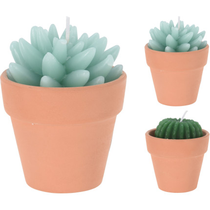 Vasetto con candela cactus 9cm