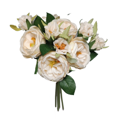 Fascio di 5 rose crema Austin