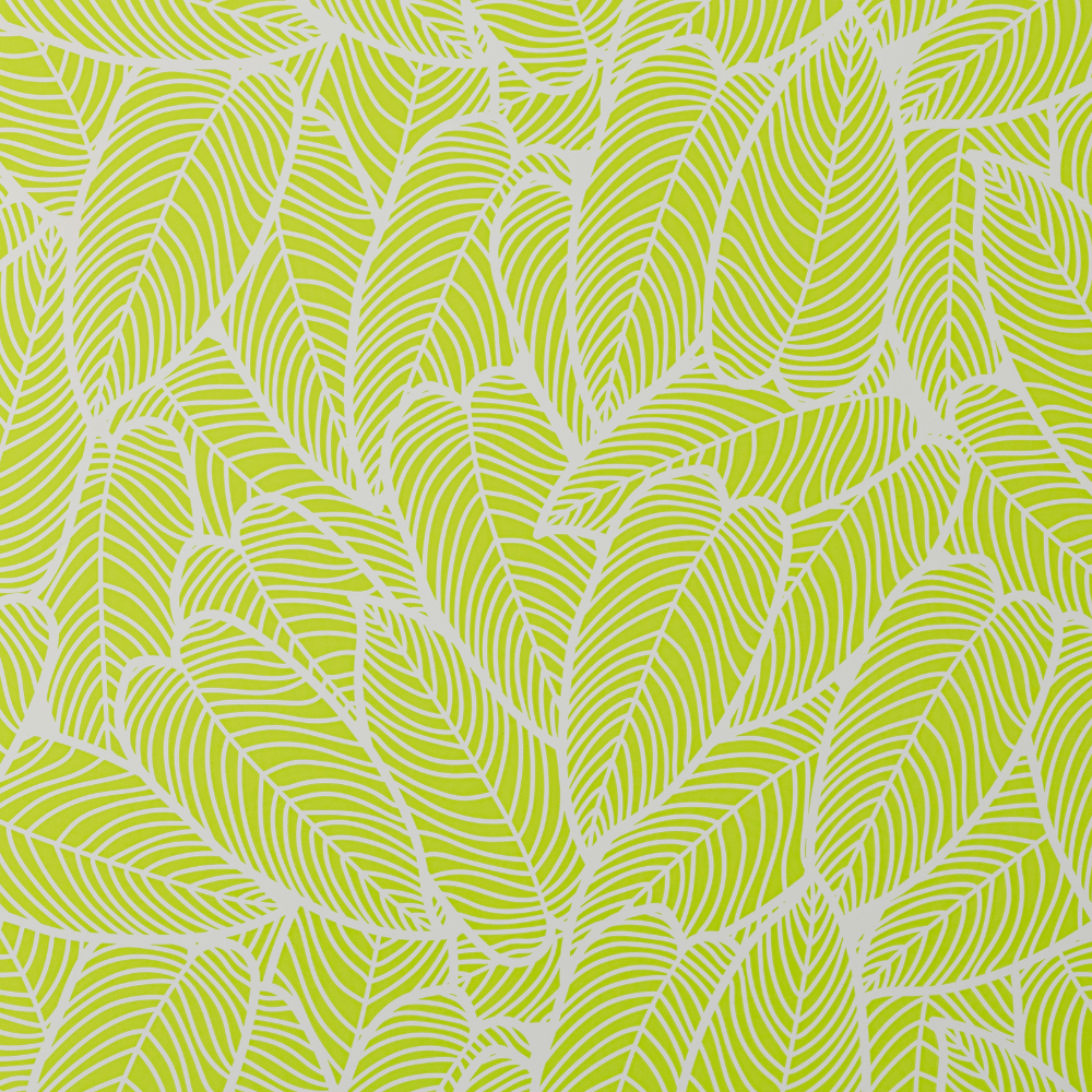 Buste regalo in polipropilene Natura (50 pezzi)