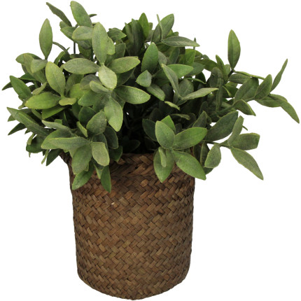 Cesto seagrass marrone 15cm