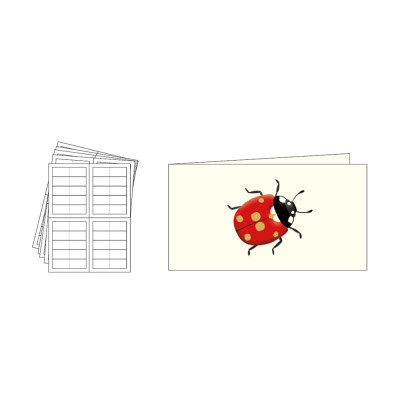 Foglio da 20 bigliettini per bomboniera con coccinella