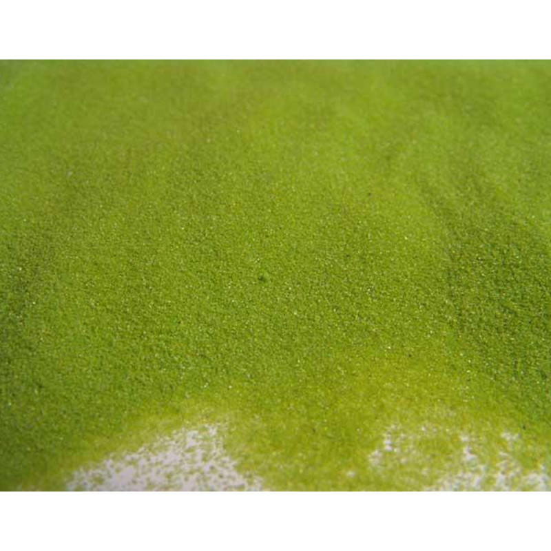 Sabbia Fine Colorata (1Kg)