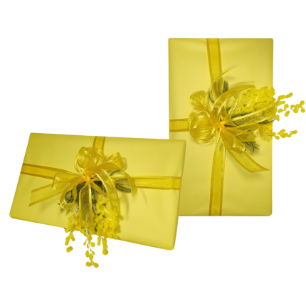 Carta polipropilene gialla bicolor (25 fogli)