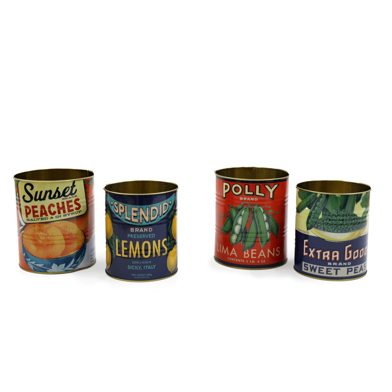 Barattolo in latta fruit