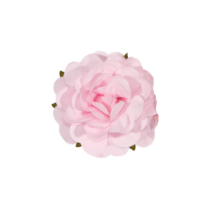 Roselline formati assortiti Roselline formati assortiti